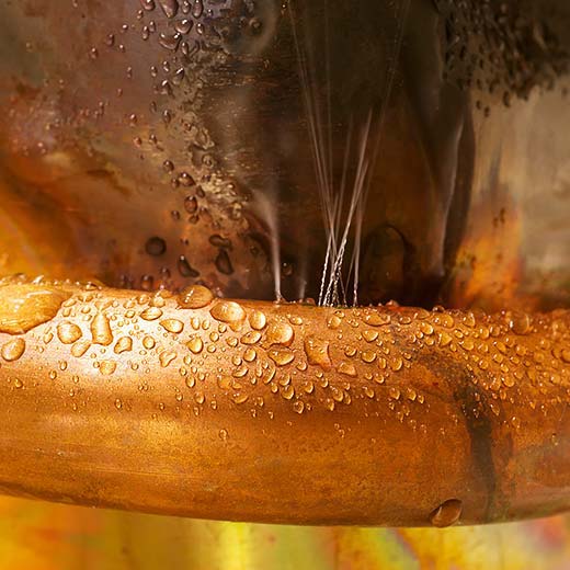 Same Day Elba Plumbing Service, drains, septic, trenchless.